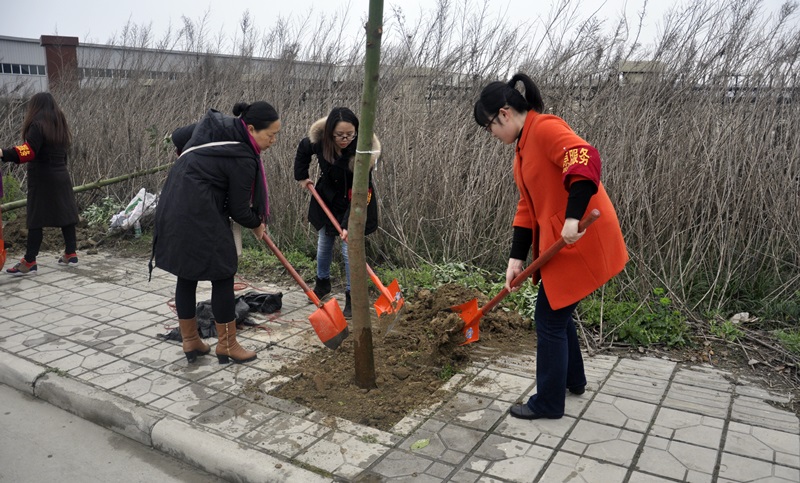 66666666.JPG 66666666.JPG