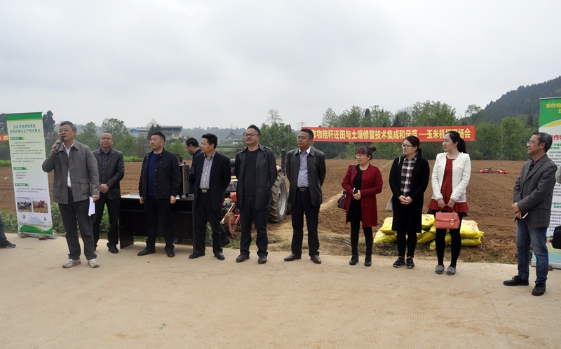 333333333333333.JPG 333333333333333.JPG