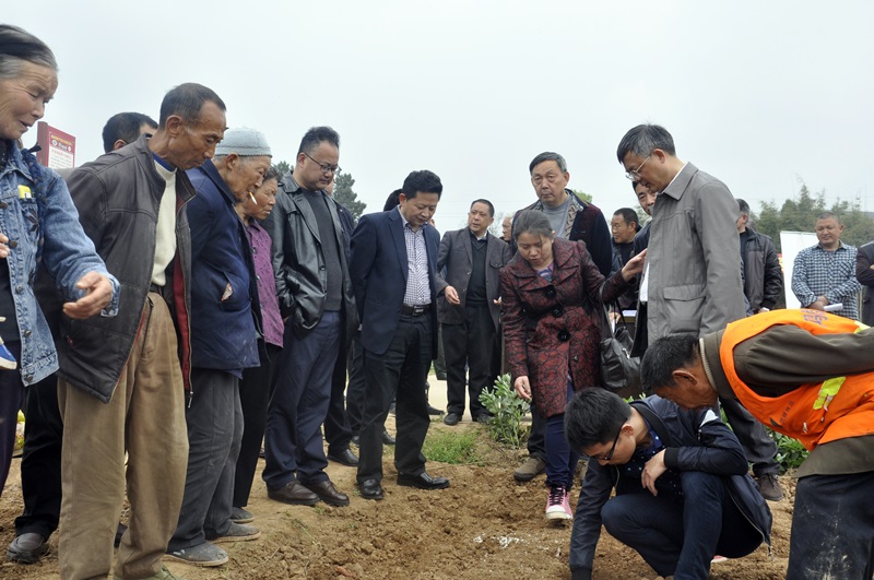 1111111111111.JPG 1111111111111.JPG