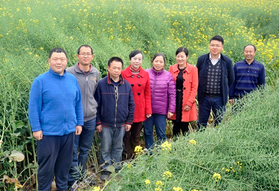 国家现代农业产业技术体系四川油菜创新团队岗位科学家