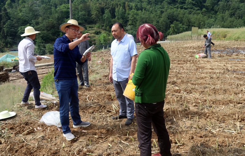 33333333333333333.JPG 33333333333333333.JPG