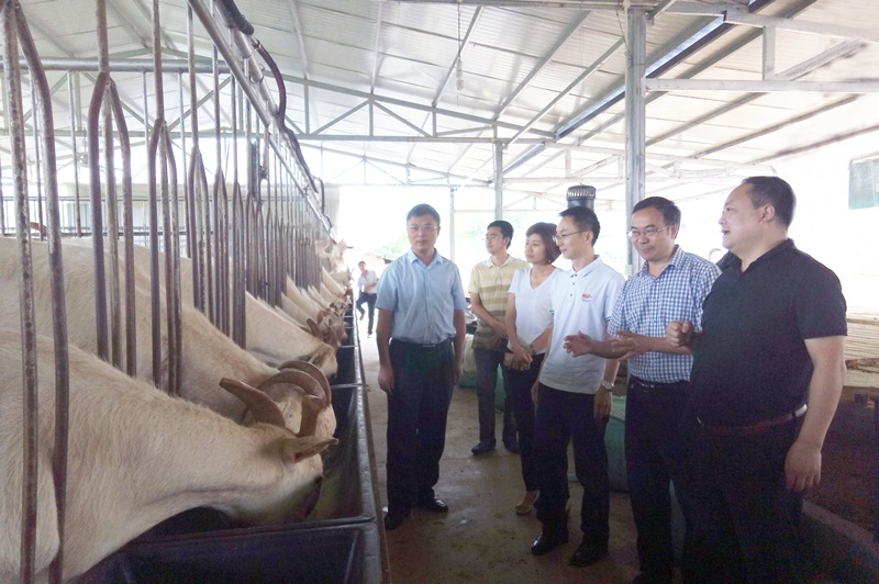 1111111111111.jpg 1111111111111.jpg