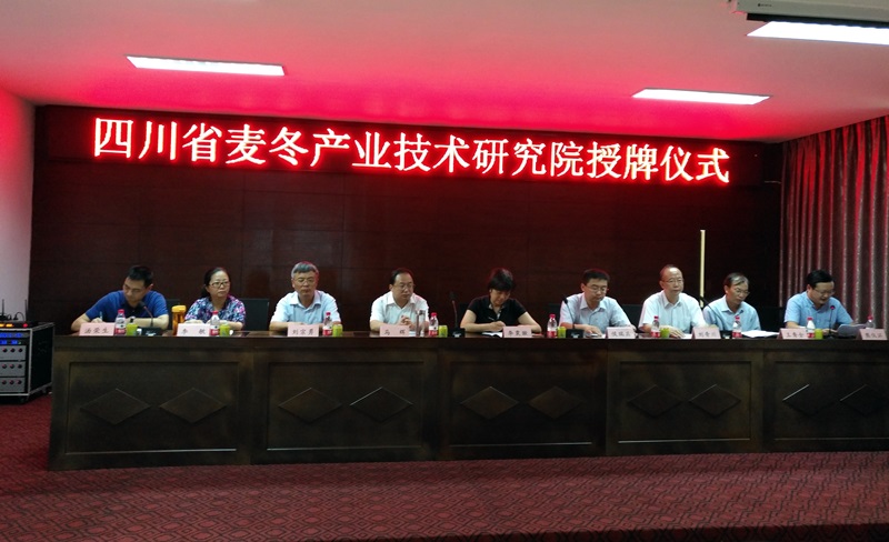 33333333333333.jpg 33333333333333.jpg