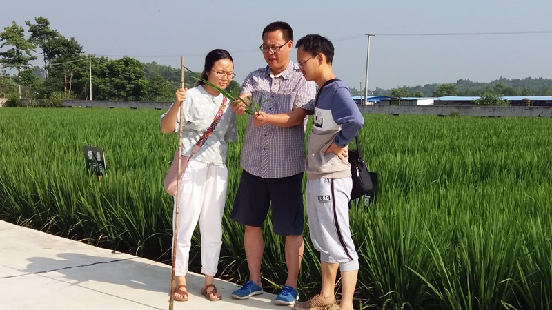 老同志指导年轻同志1.jpg 老同志指导年轻同志1.jpg