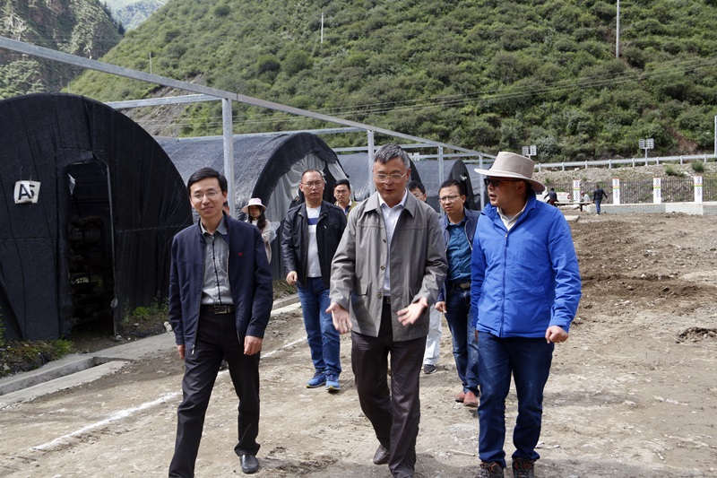 1111111.JPG 1111111.JPG