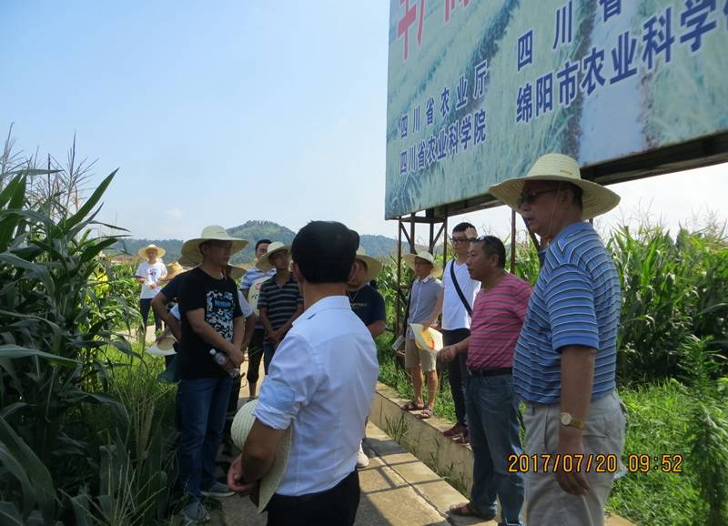 11111111.JPG 11111111.JPG