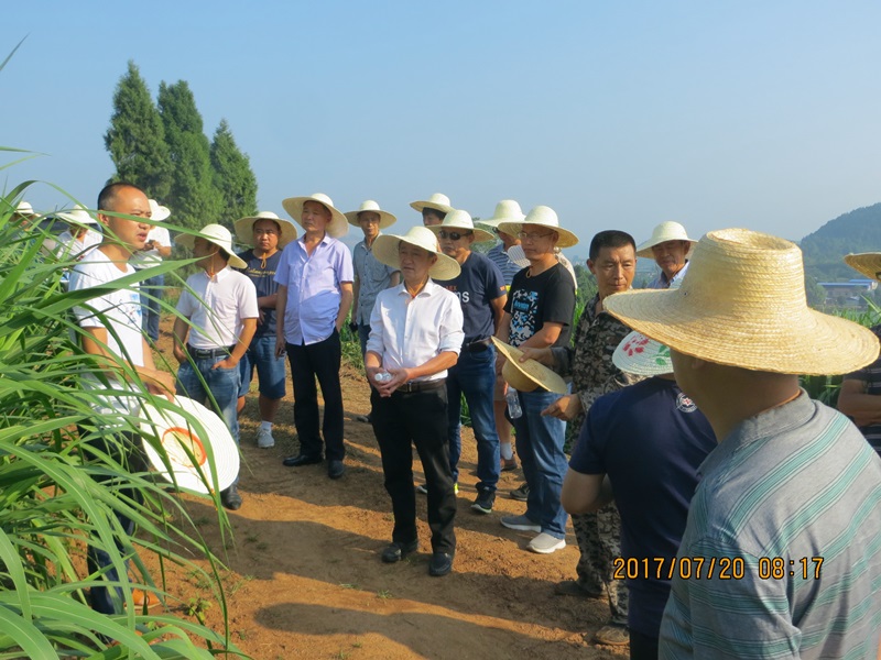 333333333333.JPG 333333333333.JPG