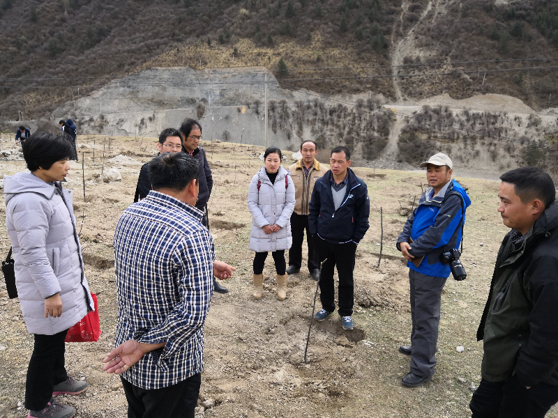 mmexport1523786409287.jpg mmexport1523786409287.jpg