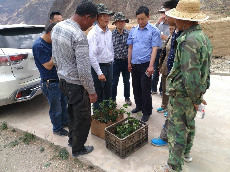 赠送种苗.jpg 赠送种苗.jpg