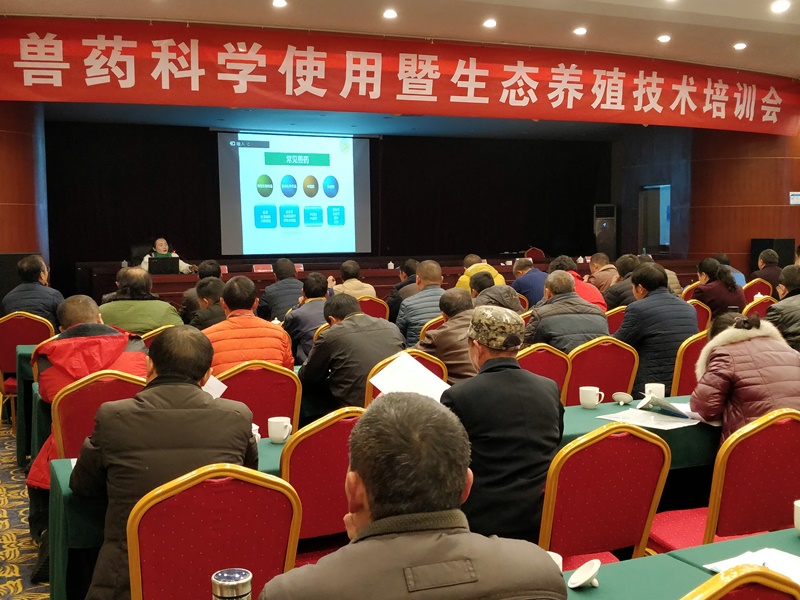 罗英1.jpg 罗英1.jpg