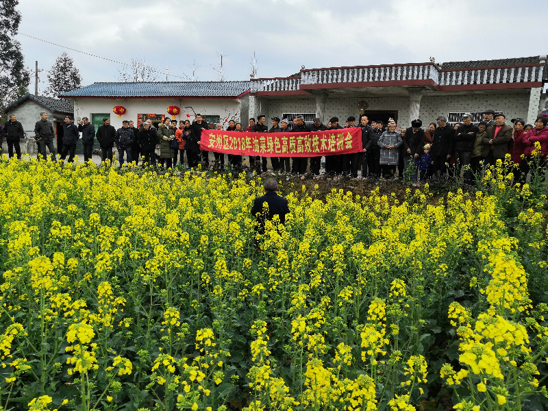 田间操作培训会.jpg 田间操作培训会.jpg