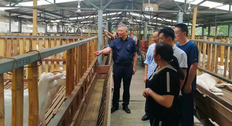 微信图片_20210906084459.jpg 微信图片_20210906084459.jpg