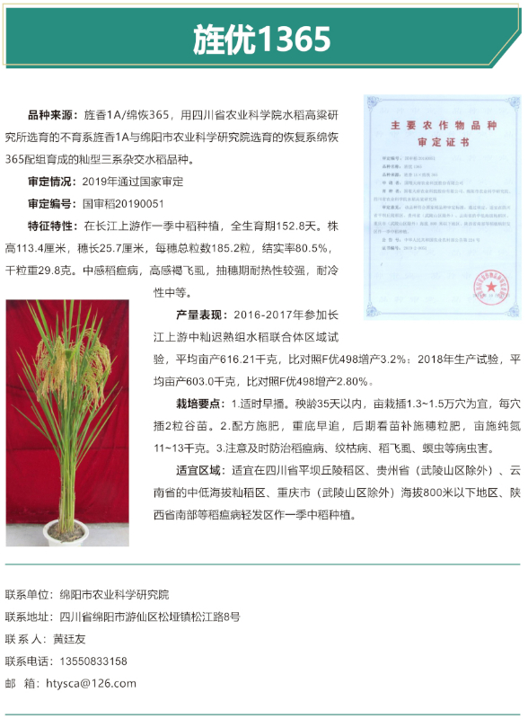 旌优1365-改.jpg