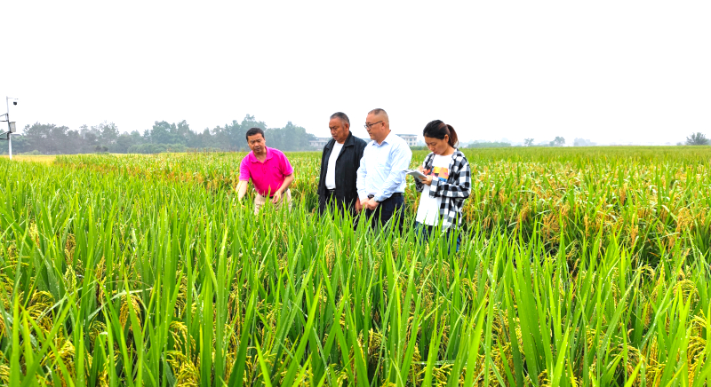 2021_09_18_08_45_IMG_2862.JPG 2021_09_18_08_45_IMG_2862.JPG