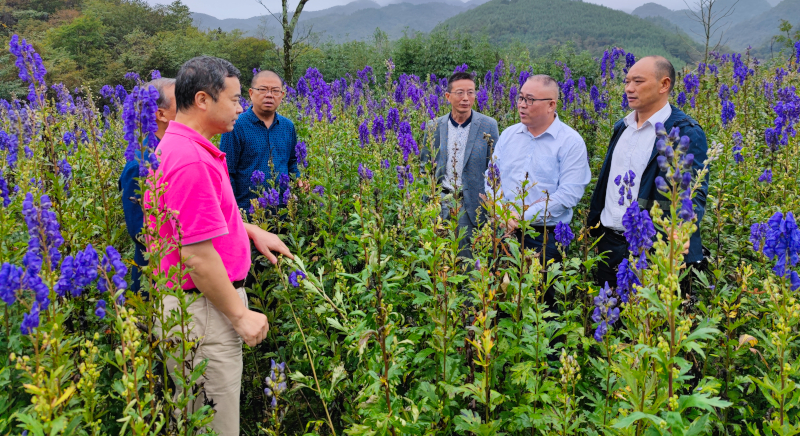 2021_09_18_11_22_IMG_2860.JPG 2021_09_18_11_22_IMG_2860.JPG