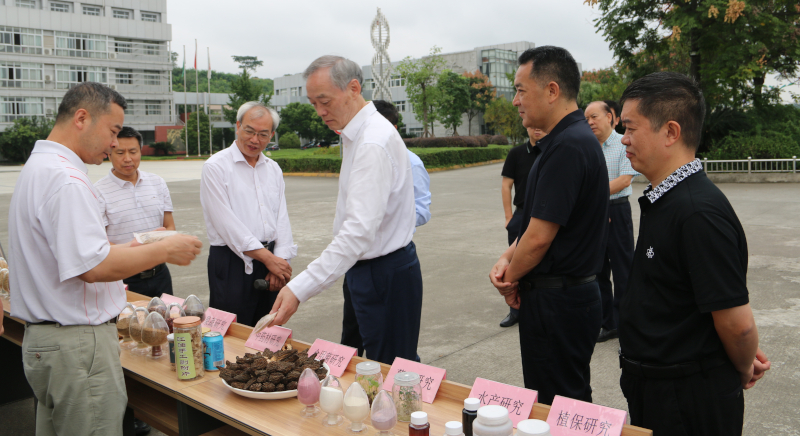 IMG_2291.JPG IMG_2291.JPG