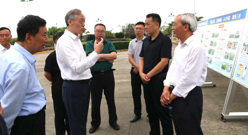 IMG_2407.JPG IMG_2407.JPG