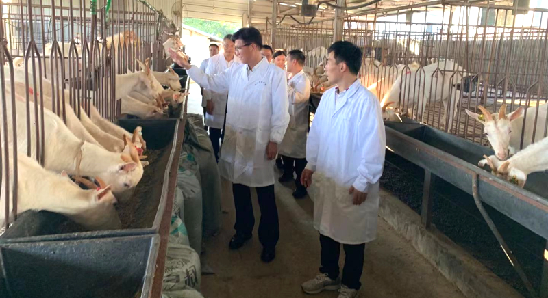 微信图片_202110081103292.jpg 微信图片_202110081103292.jpg