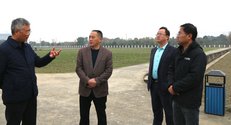 IMG_3038.JPG IMG_3038.JPG