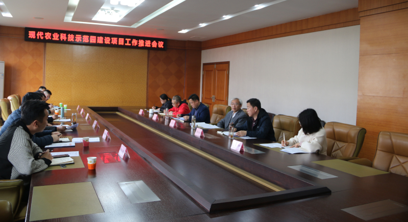 IMG_4065.JPG IMG_4065.JPG