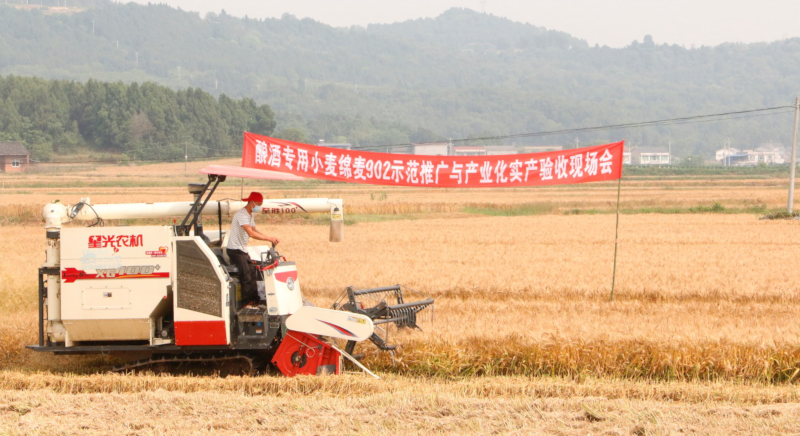 图片3.png 图片3.png