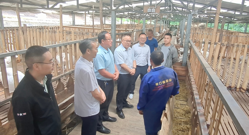 mmexport1654833704531.jpg mmexport1654833704531.jpg