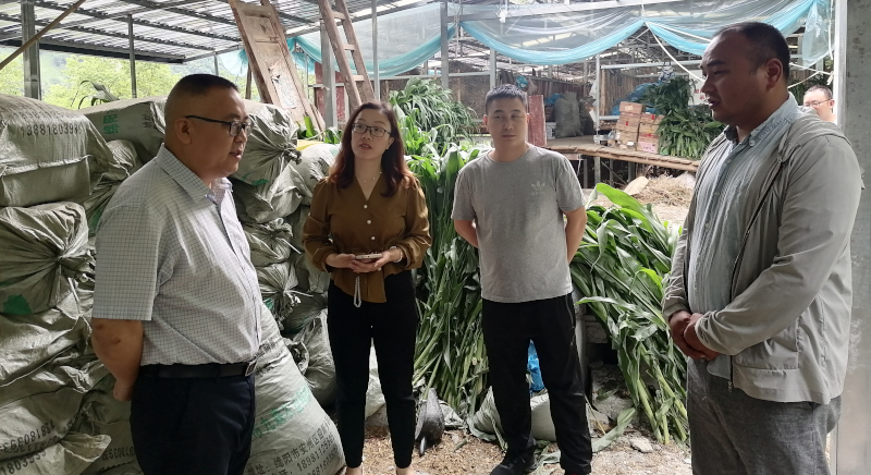 IMG_20220610_095752.jpg IMG_20220610_095752.jpg