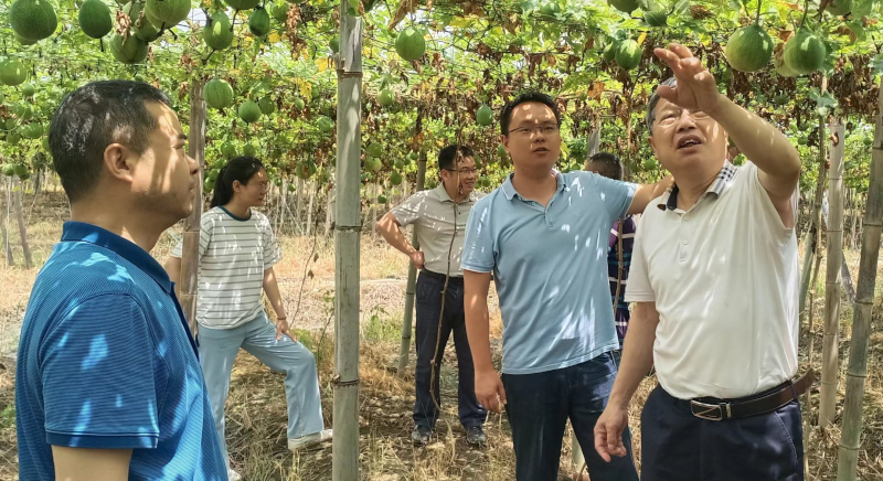 IMG_5185.JPG IMG_5185.JPG