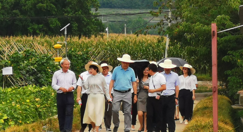 QQ图片20220712154547.jpg QQ图片20220712154547.jpg