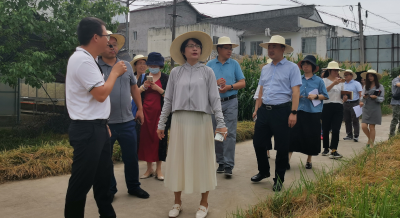 QQ图片20220712154519.jpg QQ图片20220712154519.jpg