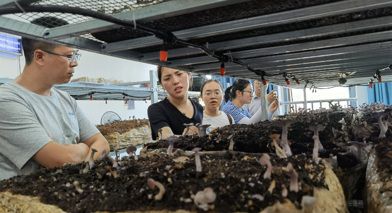 IMG_20220706_153446.jpg IMG_20220706_153446.jpg