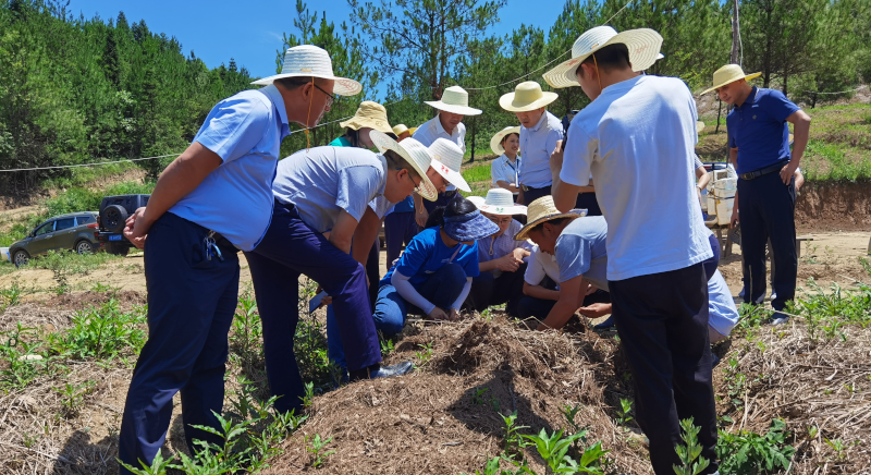 IMG_20220707_114030.jpg IMG_20220707_114030.jpg