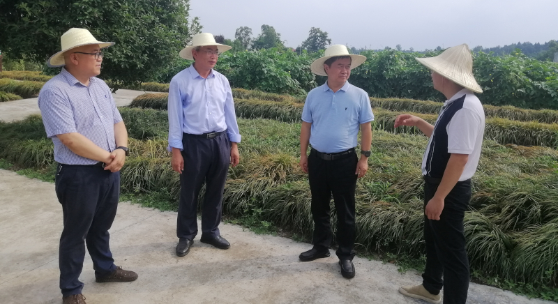 微信图片_20220715160030.jpg 微信图片_20220715160030.jpg