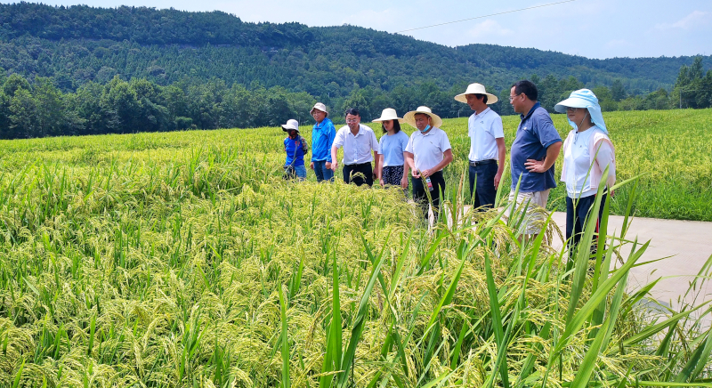 IMG_20220810_123051.jpg IMG_20220810_123051.jpg