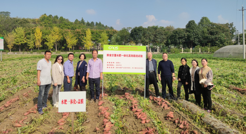 图片2.png 图片2.png