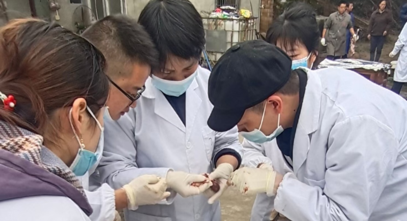 图片2.png 图片2.png