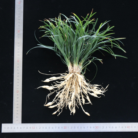 图片2.png 图片2.png