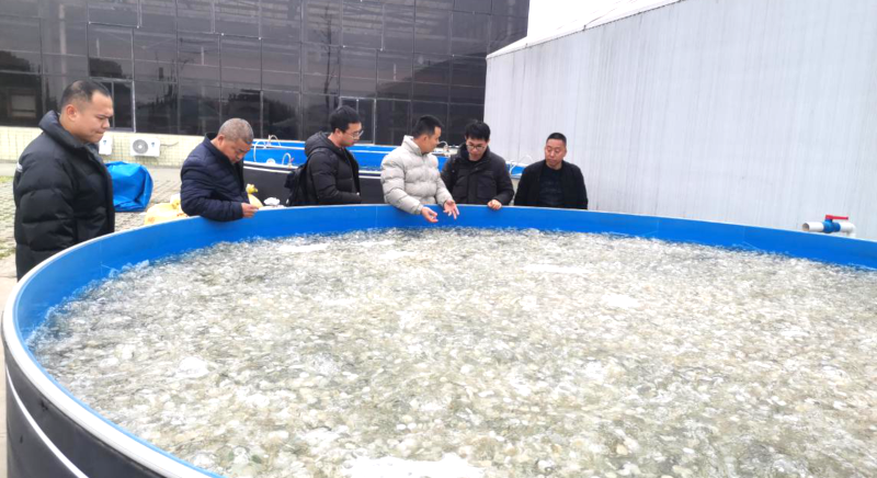 图片11.png 图片11.png