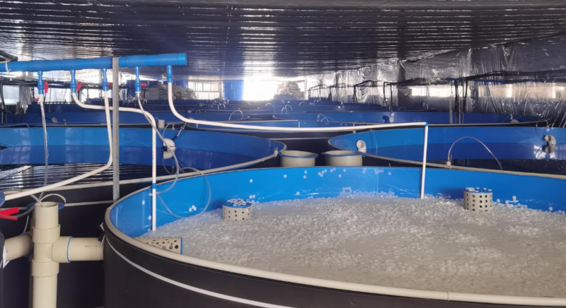 图片12.png 图片12.png