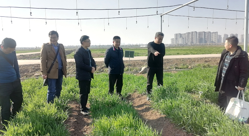 IMG_20230226_155430.jpg IMG_20230226_155430.jpg