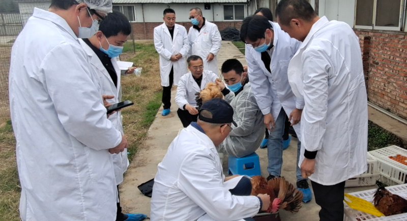 核验现场.png 核验现场.png