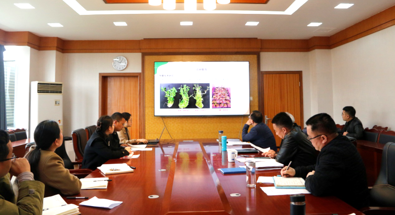 图片6.png 图片6.png