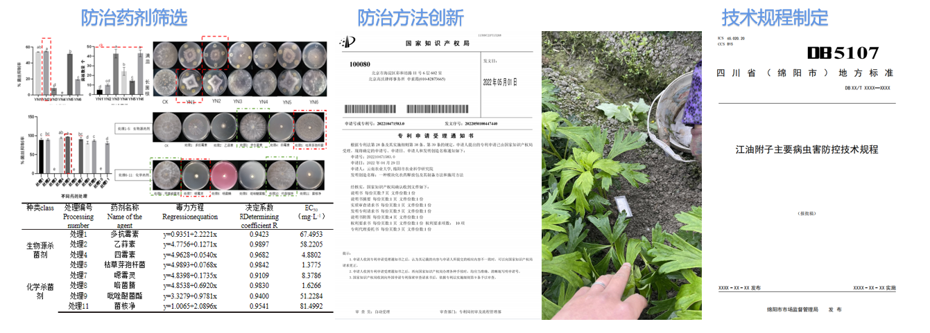 图片8.png 图片8.png