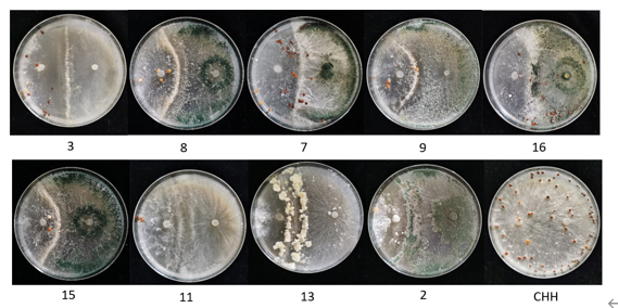 图片9.png 图片9.png