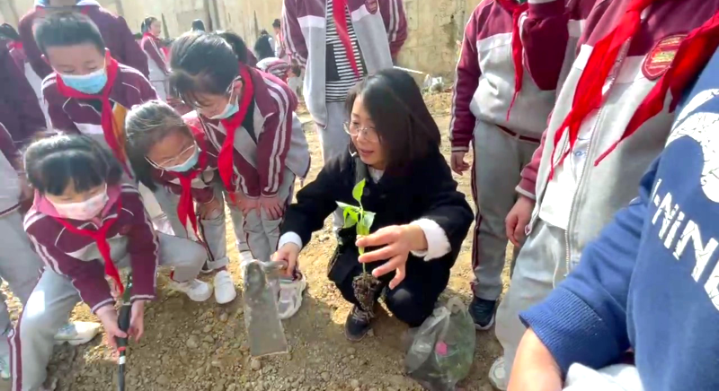 图片22.png 图片22.png