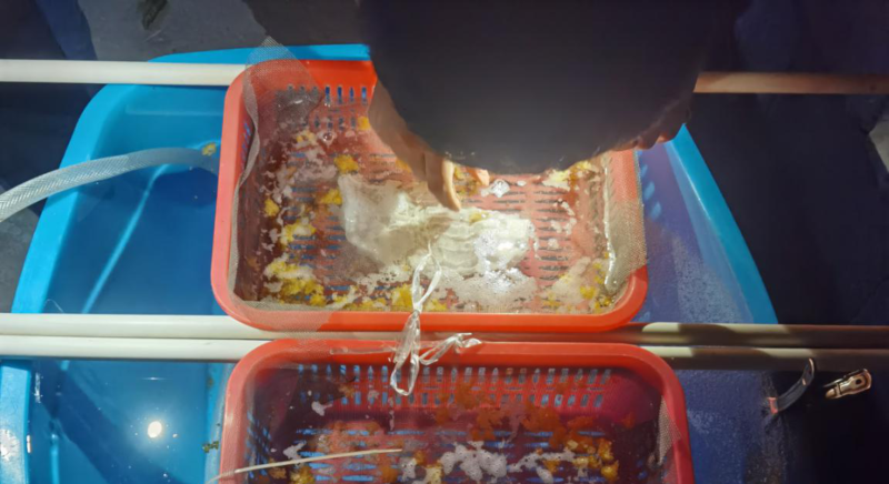 图片10.png 图片10.png