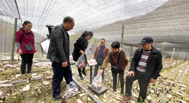 -28367904-132099590.jpg -28367904-132099590.jpg