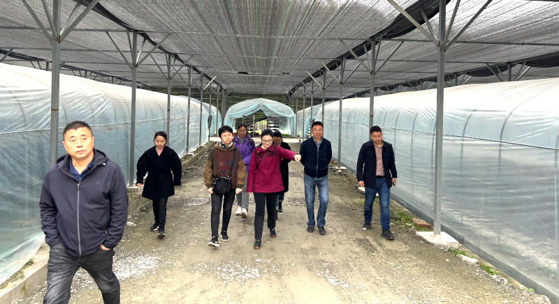 -28367904-1794260335.jpg -28367904-1794260335.jpg