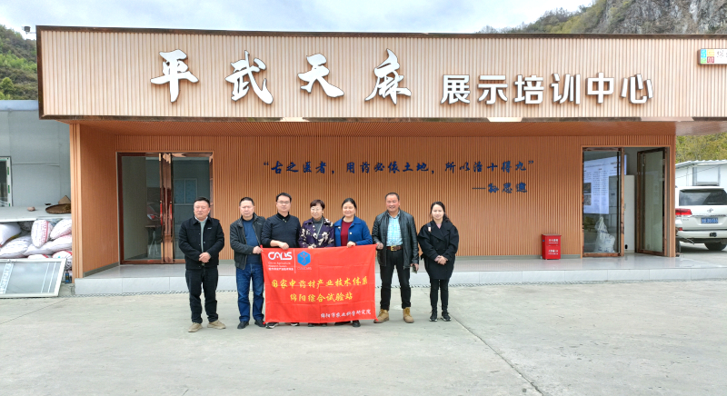 IMG_8198.JPG IMG_8198.JPG