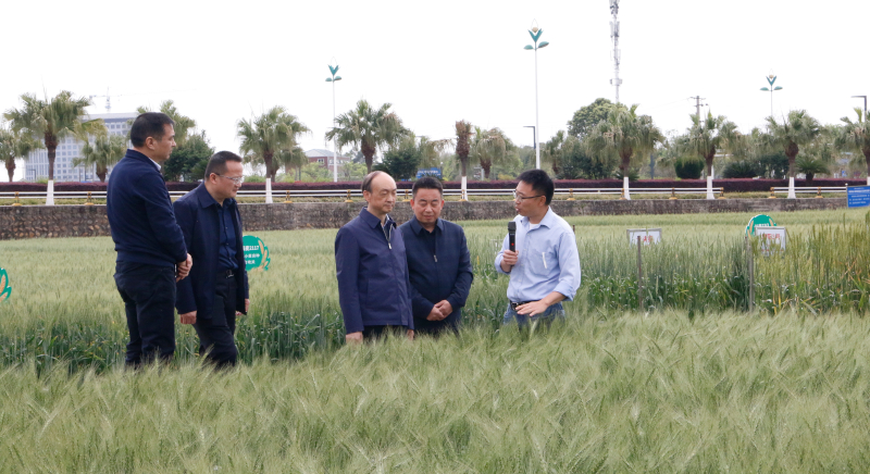 _MG_7293.JPG _MG_7293.JPG